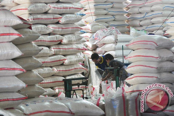 Pengamat Apresiasi Kementan Antisipasi Dampak El Nino