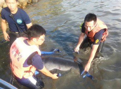 Pekan Panas, Dan-Shui siang hari mencapai 36.3