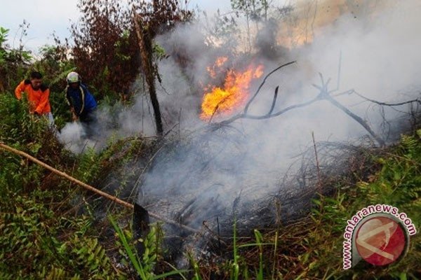 Jumlah Titik Panas di Kalteng Turun Signifikan