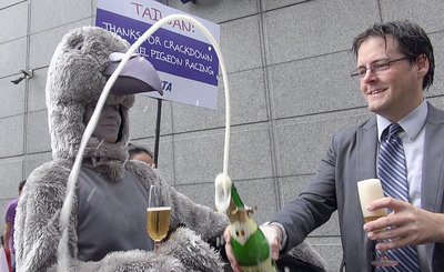 PETA Puji Taiwan Dalam Membasmi Tindakan Kejam Terhadap Burung Merpati
