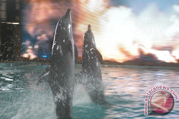 Pengunjung Antre Masuk Ancol