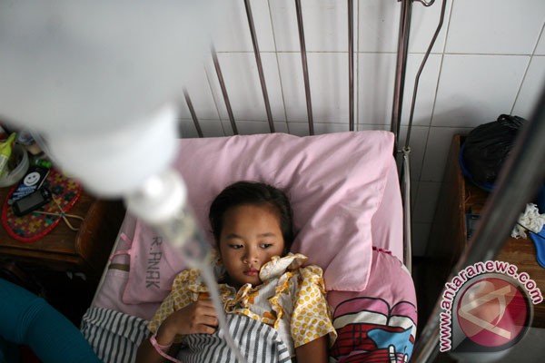 Tiga Penderita Demam Berdarah Di Jember Meninggal