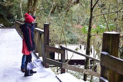 Arus Dingin Menerpa Lagi  Salju Menutupi Gunung Tinggi Taiwan