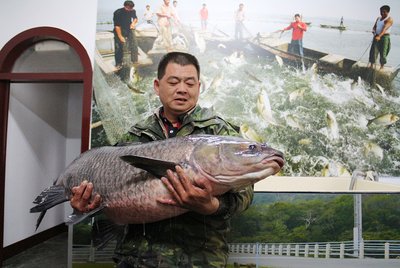 Hubungan Perikanan Taiwan Jepang Pusatkan Masalah Jarak Antar Kapal Nelayan