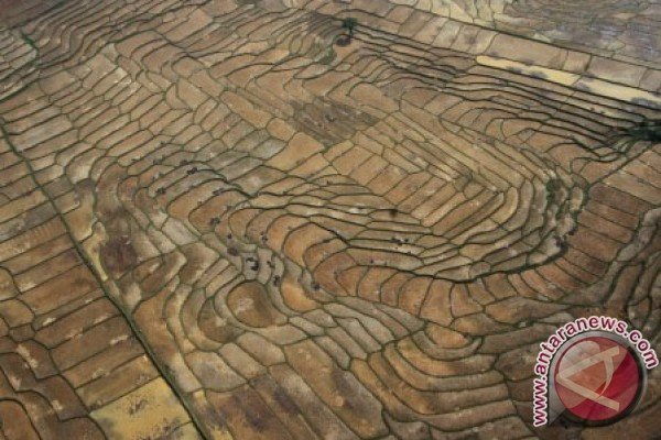 Bali Rancang Asuransi Pertanian 2015
