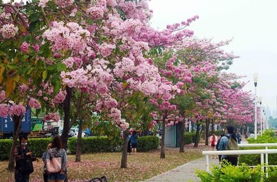 Prakiraan Cuaca Taiwan 1 April 2015
