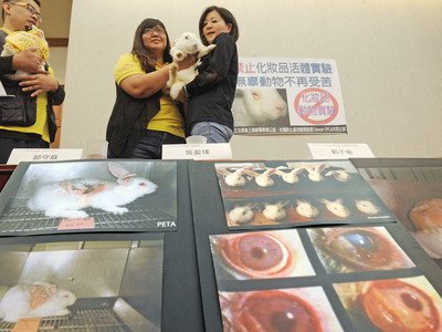 Legislator Usul Larangan Test Kosmetik Pada Hewan