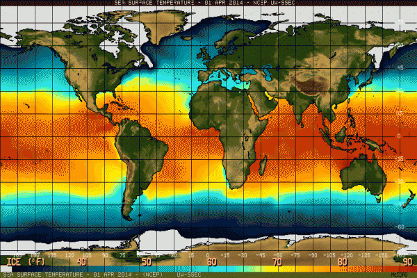 Mentan antisipasi ancaman El Nino di Indonesia