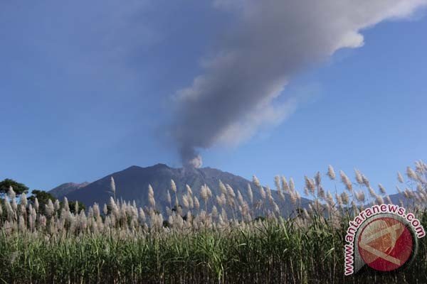 Gunung Raung meletus, 277 jadwal penerbangan di Ngurah Rai dibatalkan
