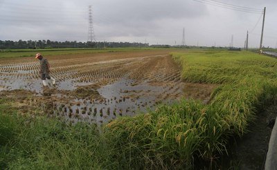 Prakiraan Cuaca 12 Juli 2015
