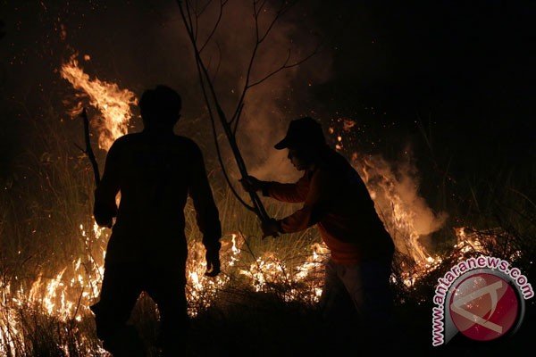 BMKG: 15 titik api terdeteksi di Riau