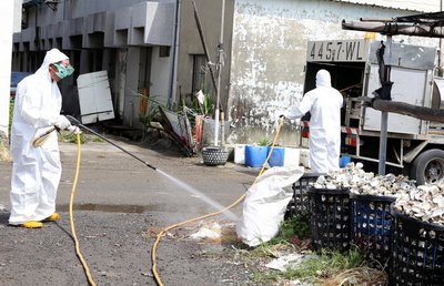 Jumlah kasus dengue di Taiwan bertambah lagi 289 kasus