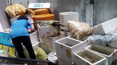 Bertambah 33 Lagi  Seluruh Taiwan Ada 89 Korban Meninggal Akibat Demam Berdarah