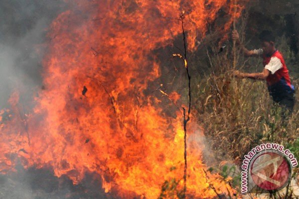 Indonesia bekerjasama dengan lima negara atasi asap