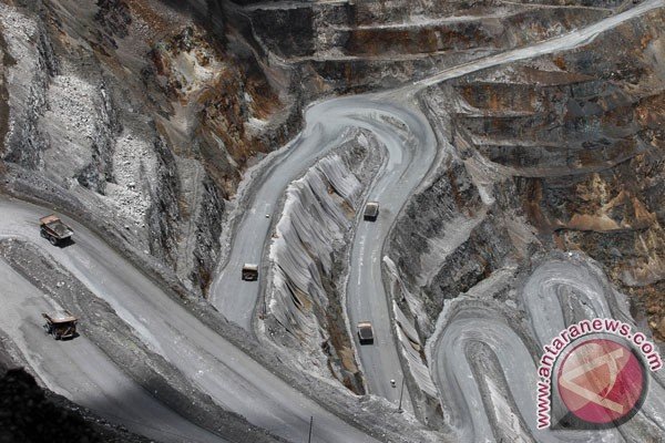 Rini dorong Inalum-Antam ambilalih saham divestasi Freeport