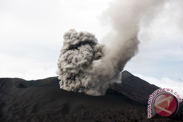 Sebagian wisatawan mancanegara justru nikmati aktivitas Gunung Bromo