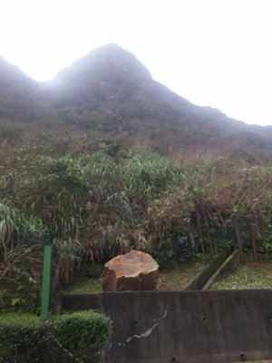 Prakiraan Cuaca Taiwan 19 Januari 2016