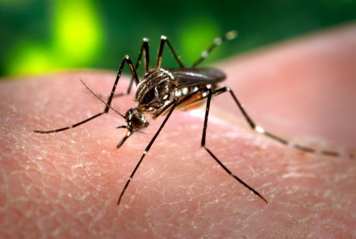 Peringatan Virus Zika di 22 Daerah