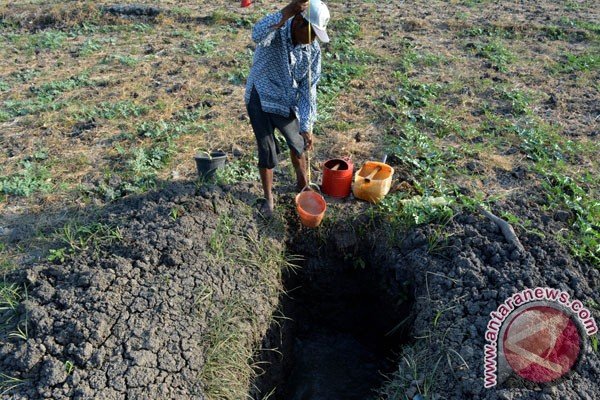 Petani Pandeglang Diminta