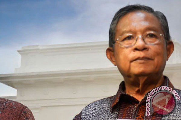 Menko Perekonomian: hasil produksi perkebunan sawit membaik