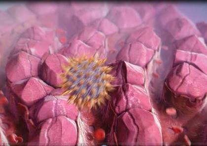 Kementerian kesehatan dan kesejahteraan: pengajuan pembelian obat hepatitis C dari luar negeri tidak melanggar aturan.