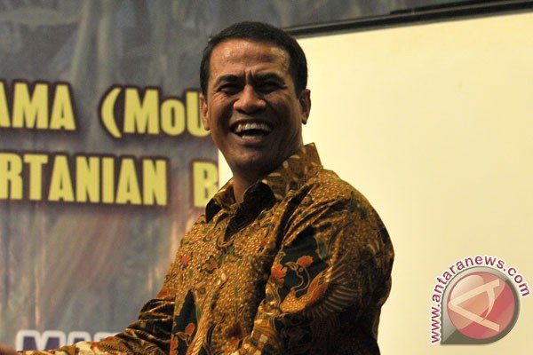 Mentan targetkan produksi jagung 3,5 juta ton untuk akhiri impor