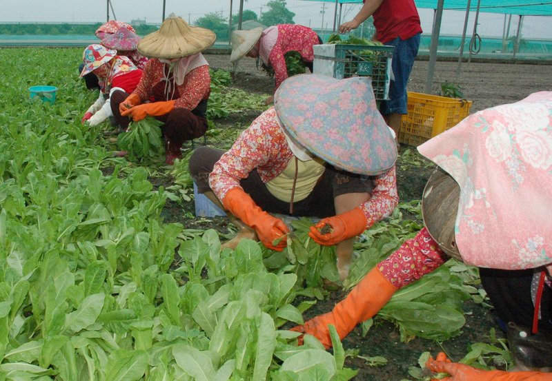 Hasil NSBP COA Eskpor 10 Bulan Terakhir Meningkat Hingga 8%