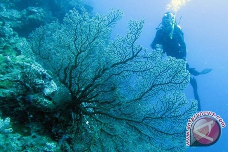 Pembangunan 10 destinasi wisata baru akan libatkan swasta
