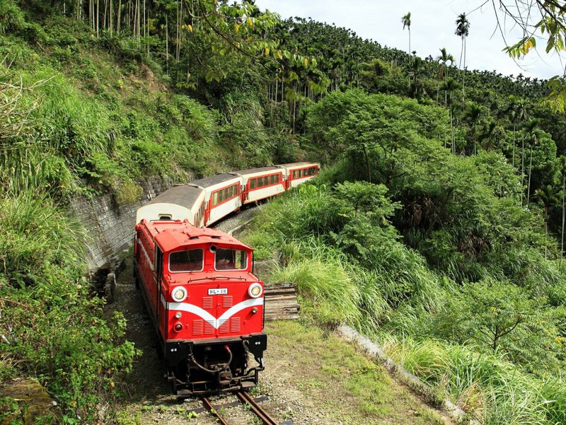 Jalur Kereta Api Hutan Alishan Ditutup 3 Hari