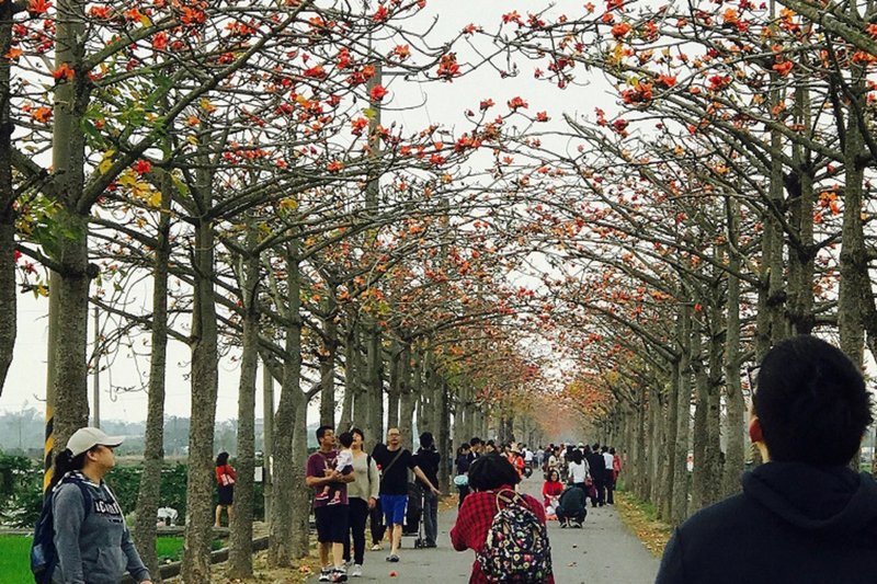 MOFA: Trump Tandatangani Peraturan Wisatawan Amerika ke Taiwan