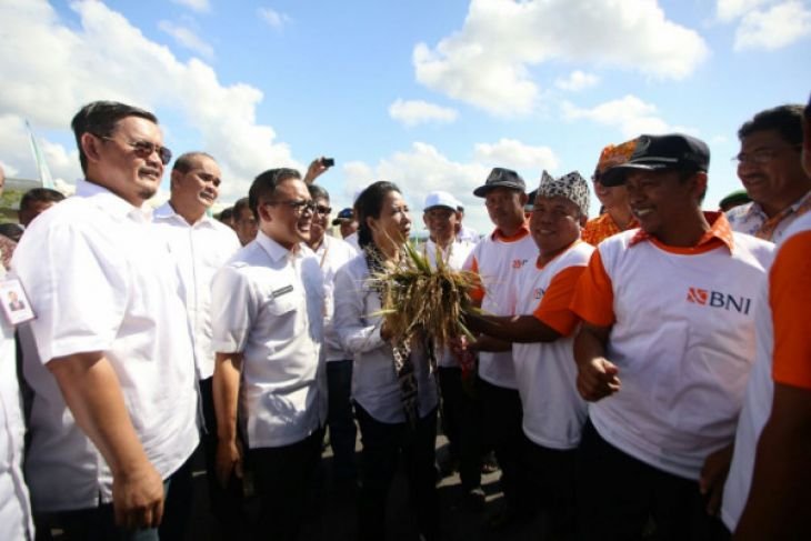 Rini Panen Raya Program 