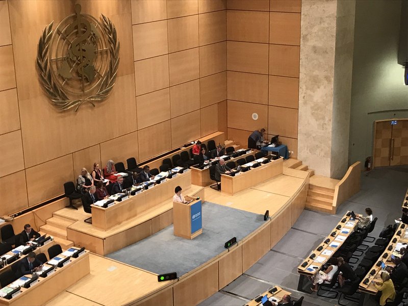 16 Negara Bersuara Bagi Taiwan di WHA