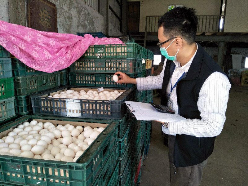 Telur Terkontaminasi Fipronil Kembali Ditemukan