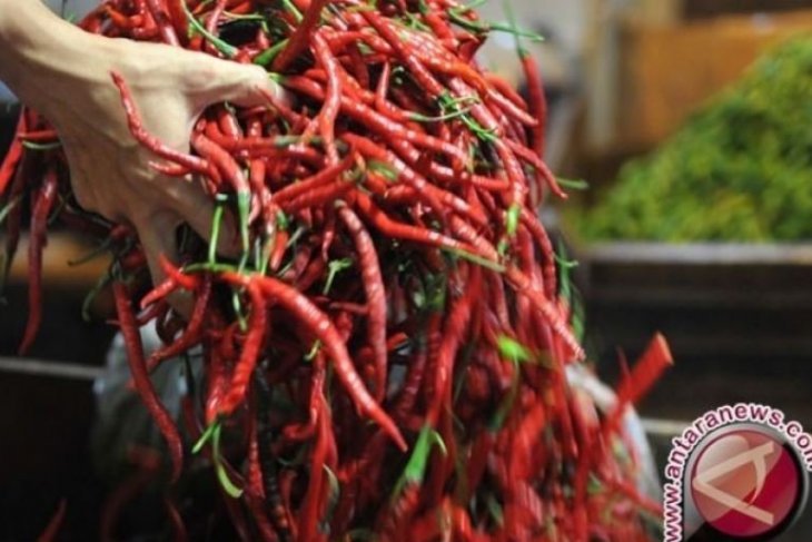 Kementan Jamin Stok Cabai dan Bawang Cukup Jelang Ramadhan
