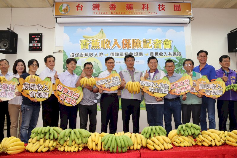 COA memberlakukan asuransi penghasilan pisang bagi petani lokal