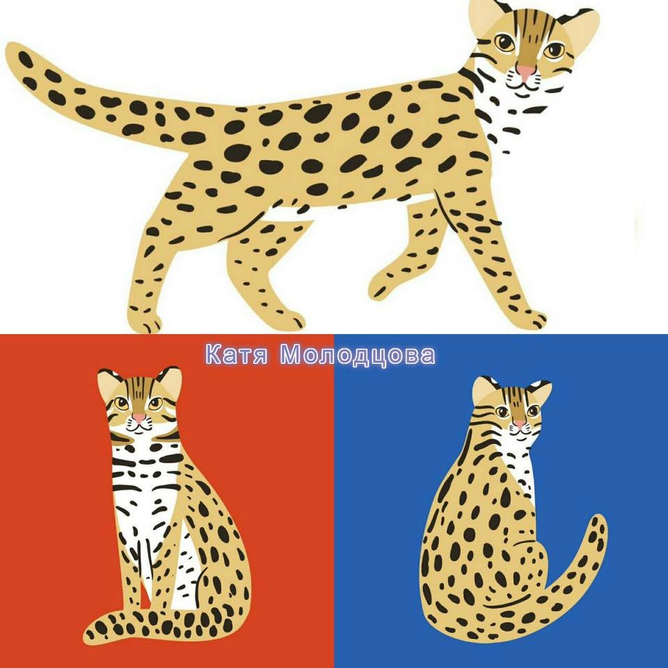 Kucing Kuwuk Kereta Bergambar Jiji  Menteri Perhubungan Undang Perancang Rusia