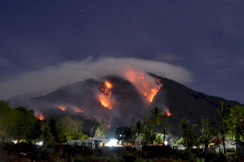 Kebakaran Hutan dan Lahan Melanda Gunung Ile Mandiri Flores Timur