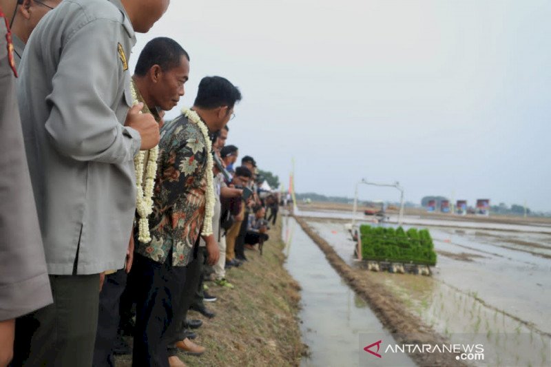 Mentan Syahrul Dorong Petani Manfaatkan Alsintan Canggih