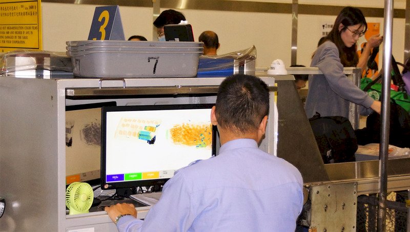 Kasus Flu Babi Afrika Merebak Hingga 11 Negara