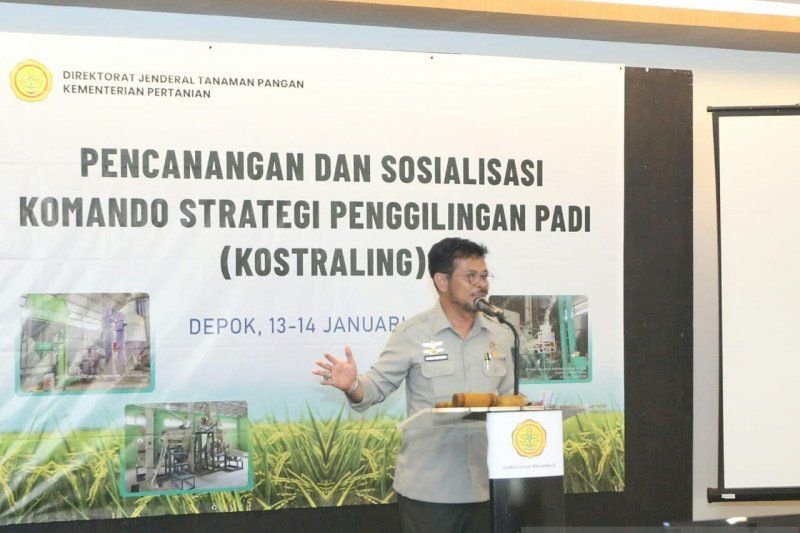 Targetkan Ekspor Beras 500.000 Ton, Mentan Libatkan Penggilingan