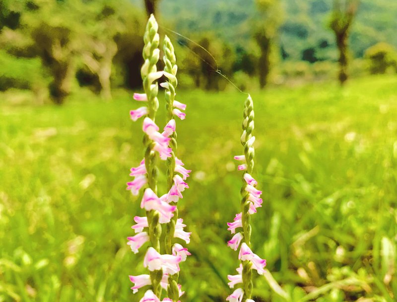 Temu Udara - 2020-05-03