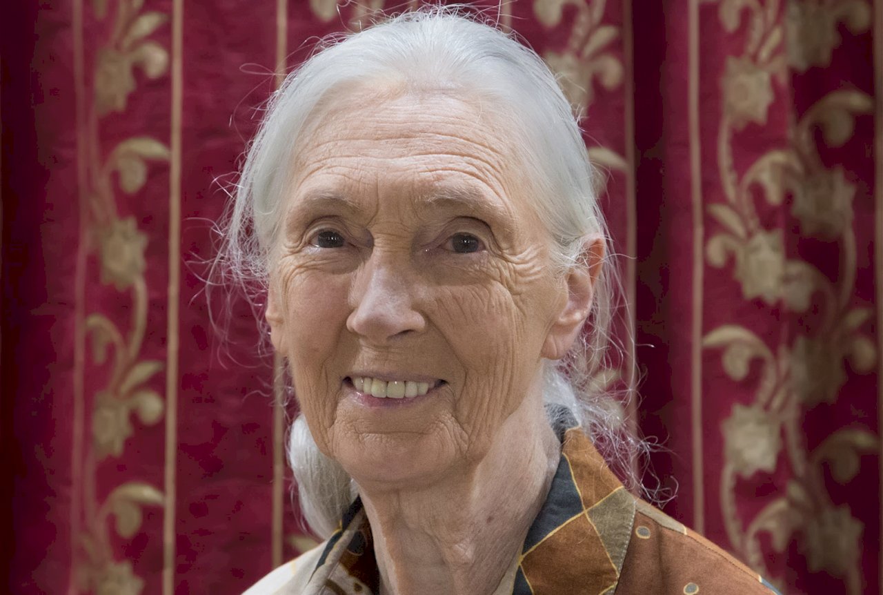 Jane Goodall Berharap Dapat Berkunjung ke Taiwan Untuk Menerima Prize Tang