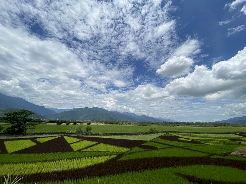 Temu Udara - 2020-06-14