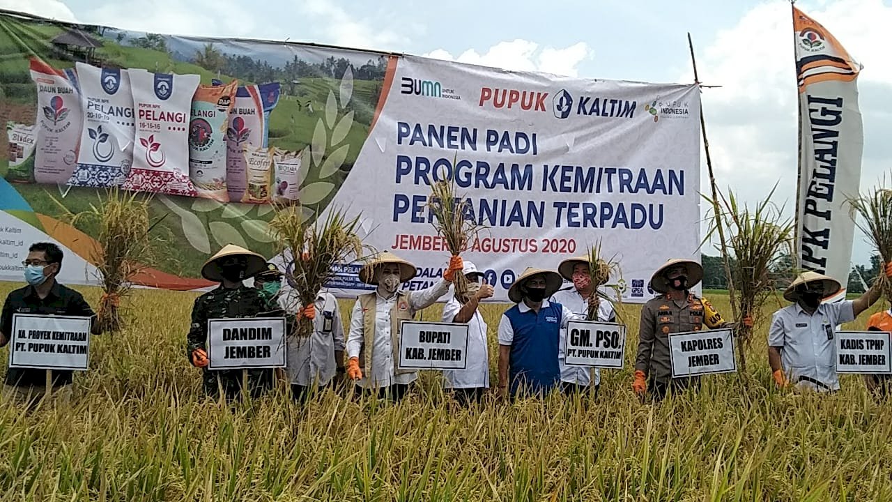 Program Kemitraan Tingkatkan Produksi Pertanian di Jember
