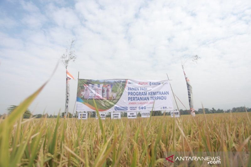 Dorong Kemandirian Petani, Pupuk Kaltim Kembangkan Program Kemitraan