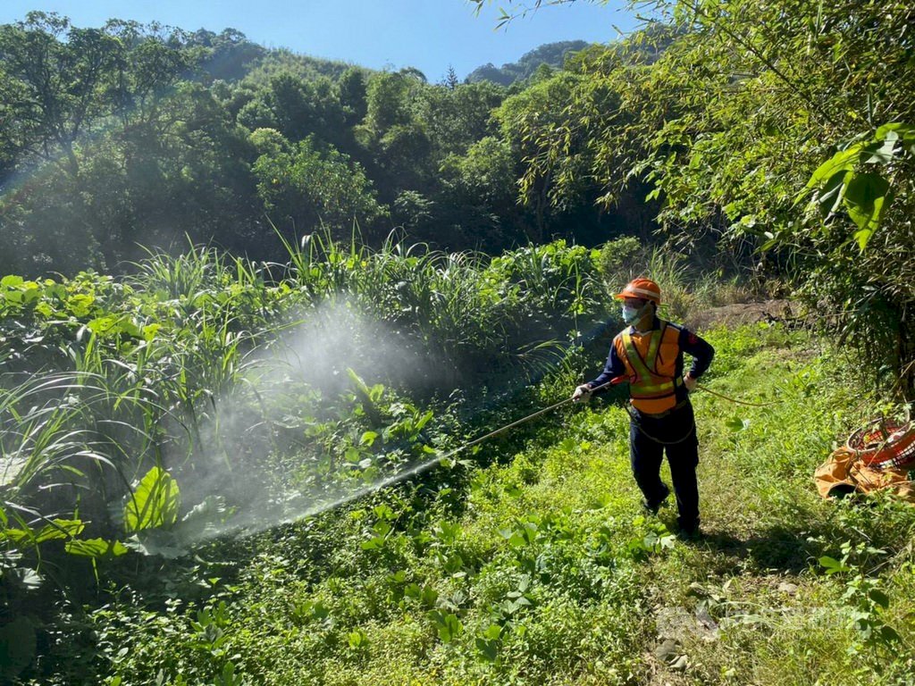 Tambah lagi satu kasus infeksi kluster DBD di New Taipei