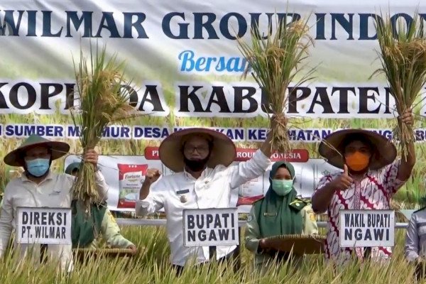 BPS prediksi produksi beras meningkat, capai 31,63 juta ton tahun ini