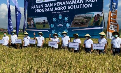 Pupuk Indonesia Kurangi Ketergantungan Pupuk Subsidi Via Agro Solution