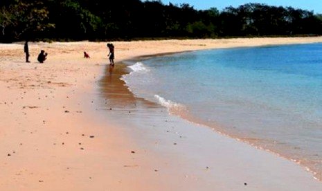 NTB Komitmen Percepat Investasi Swedia di Pantai Pink
