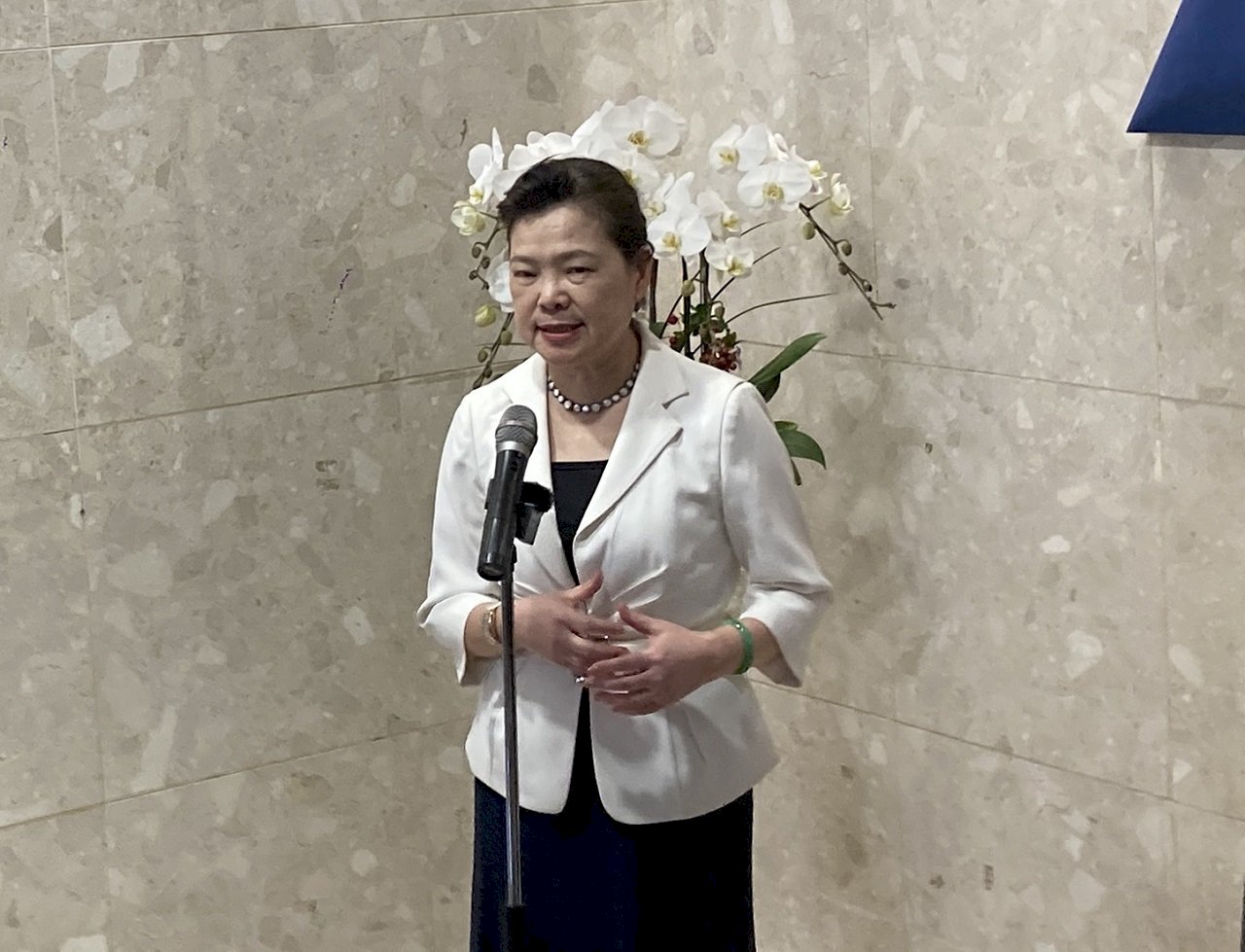 Menteri Ekonomi: Bantah Sumber Tenaga Angin Taiwan Melanggar Aturan WTO